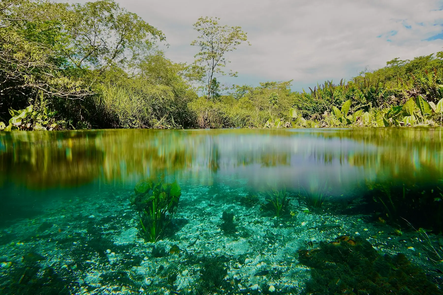 Rio de água transparente cercado de mata