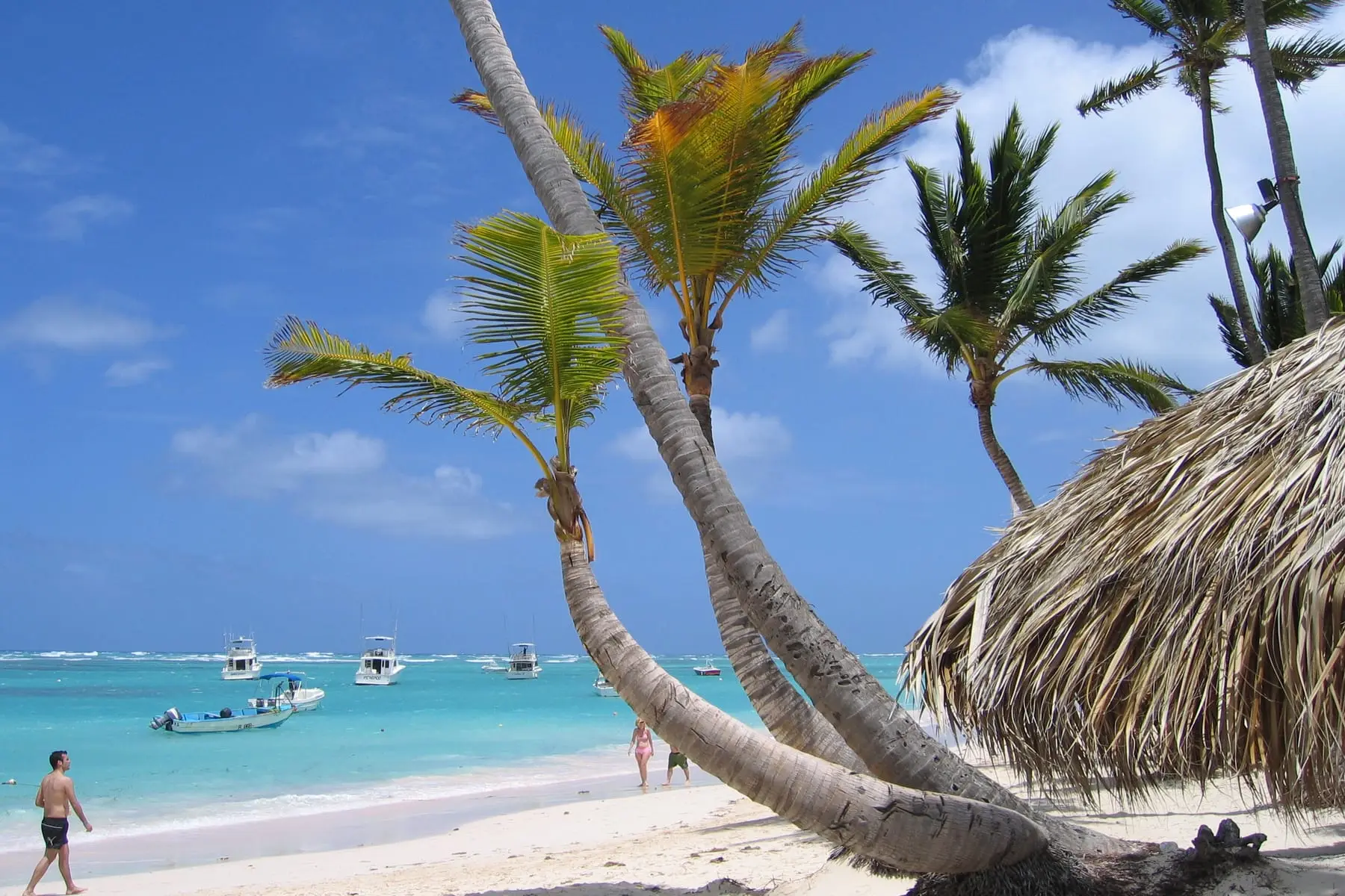 Coqueiros e mar azul na praia de Bávaro, em Punta Cana