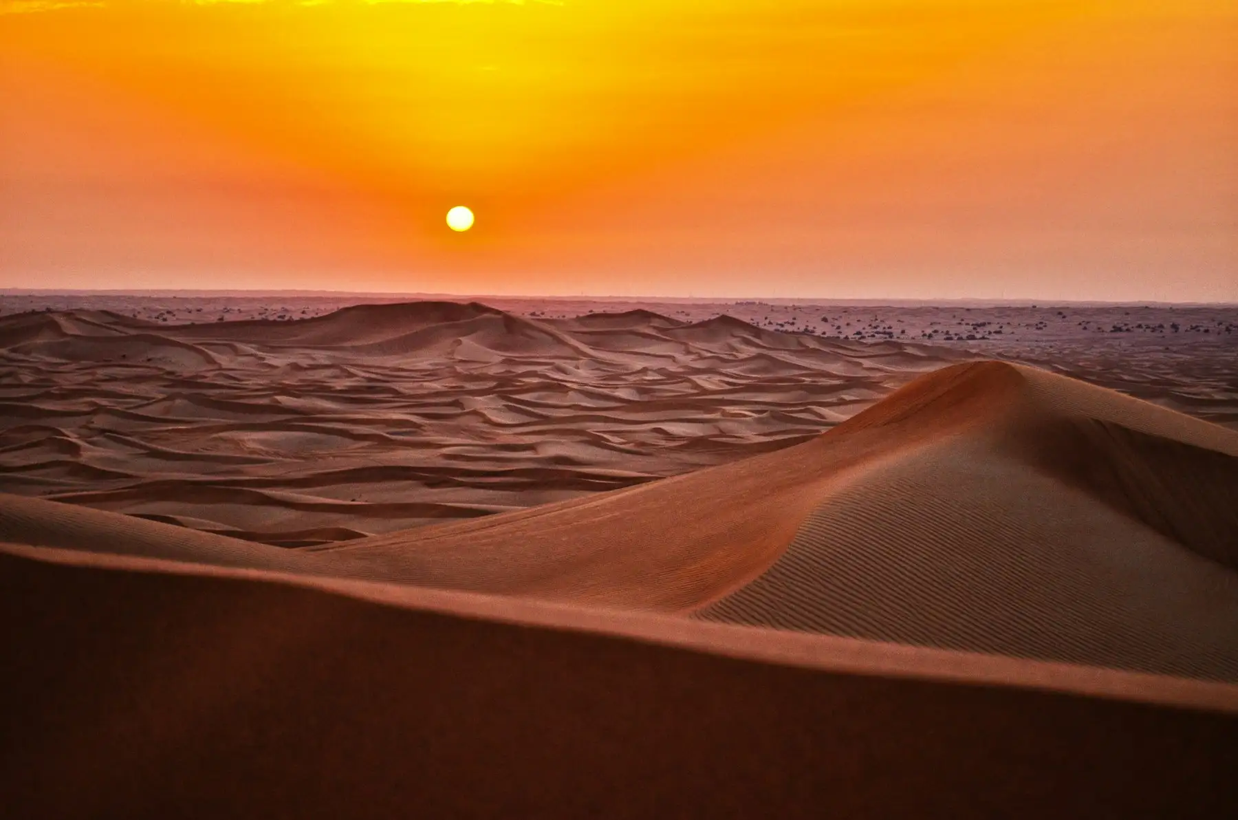 Dunas do deserto no pôr do sol