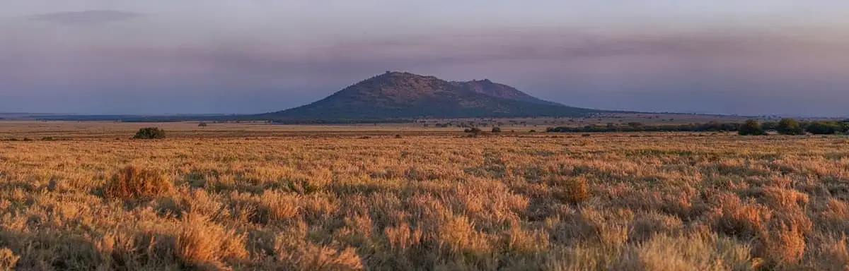 Parque Nacional do Serengeti, na Tanzânia
